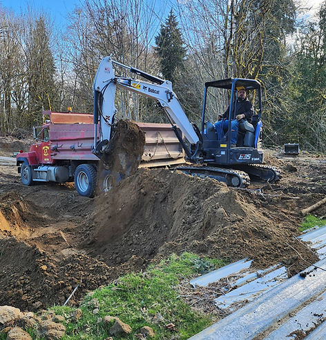 Site preparation with debris removal